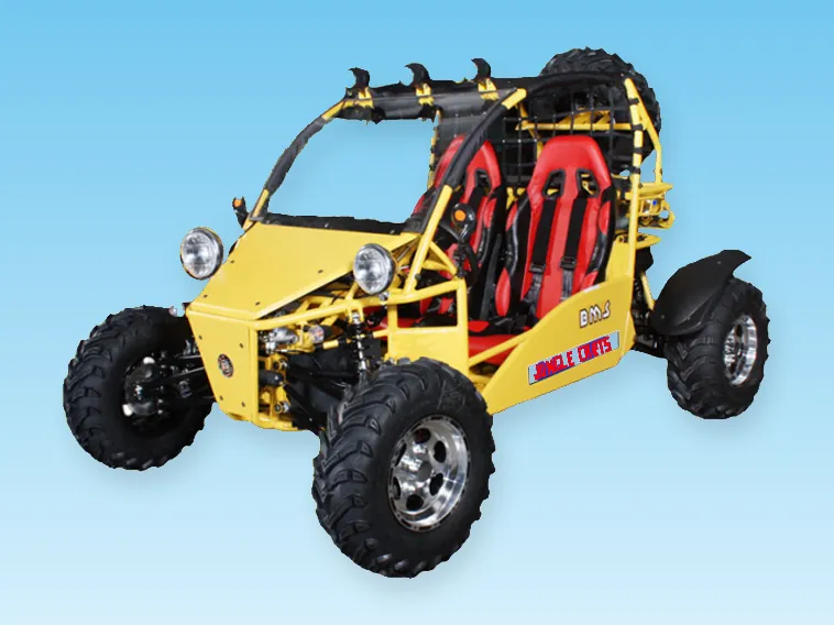 Group buggy booking