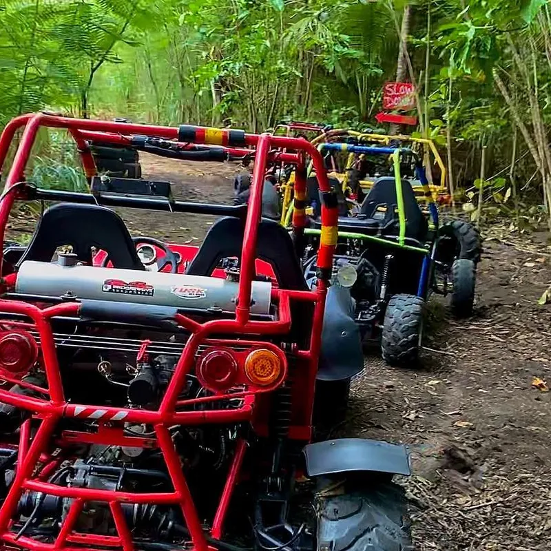 Dune buggy on the trail behind Mero Beach